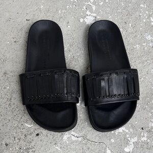 Fabrice Tardieu slides